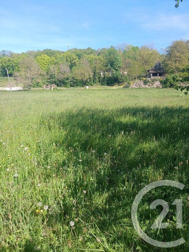 Terrain &agrave; vendre - 10351 m2 - L Isle En Dodon - 31 - MIDI-PYRENEES