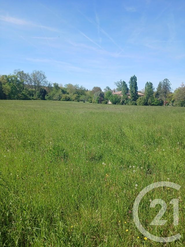 Terrain &agrave; vendre - 10351 m2 - L Isle En Dodon - 31 - MIDI-PYRENEES