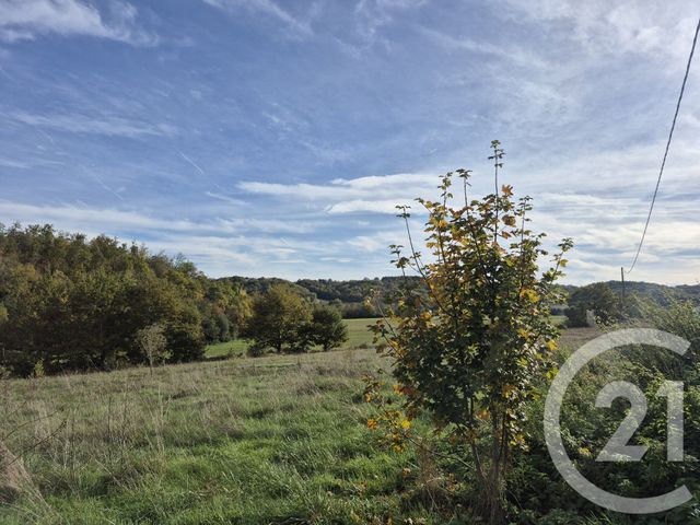 Maison à vendre - 10 pièces - 303,43 m2 - Gensac De Boulogne - 31 - MIDI-PYRENEES