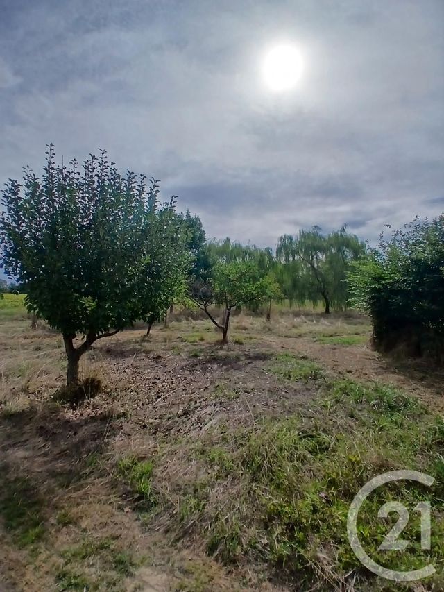Maison &agrave; vendre - 5 pi&egrave;ces - 169 m2 - Escanecrabe - 31 - MIDI-PYRENEES