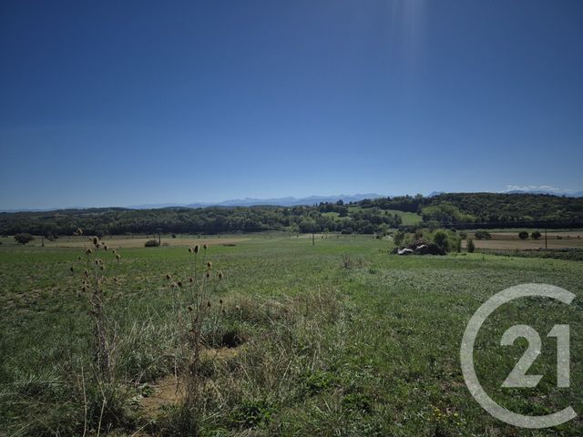Terrain &agrave; vendre - 5861 m2 - Saman - 31 - MIDI-PYRENEES