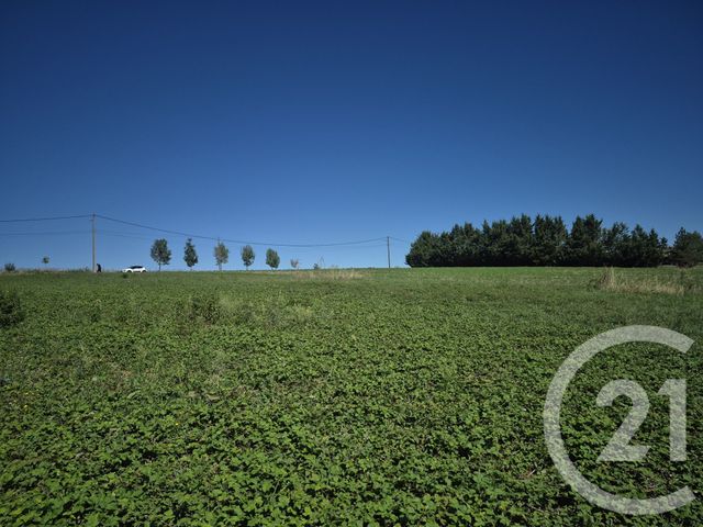 Terrain &agrave; vendre - 5861 m2 - Saman - 31 - MIDI-PYRENEES