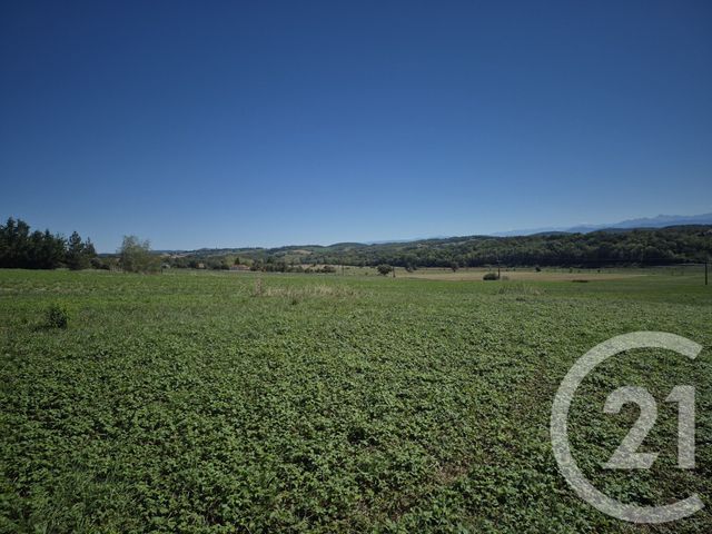 Terrain &agrave; vendre - 5861 m2 - Saman - 31 - MIDI-PYRENEES