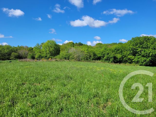 Terrain &agrave; vendre - 6910 m2 - Thermes Magnoac - 65 - MIDI-PYRENEES