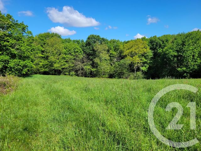 Terrain &agrave; vendre - 6910 m2 - Thermes Magnoac - 65 - MIDI-PYRENEES