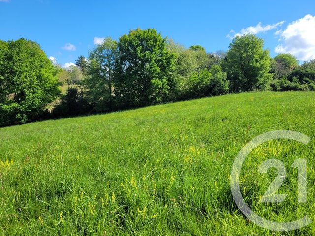Terrain &agrave; vendre - 6910 m2 - Thermes Magnoac - 65 - MIDI-PYRENEES