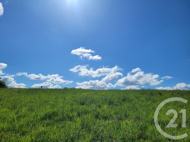 Terrain &agrave; vendre - 6910 m2 - Thermes Magnoac - 65 - MIDI-PYRENEES