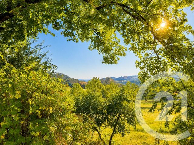 Maison &agrave; vendre - 3 pi&egrave;ces - 55 m2 - St Lions - 04 - PROVENCE-ALPES-COTE-D-AZUR