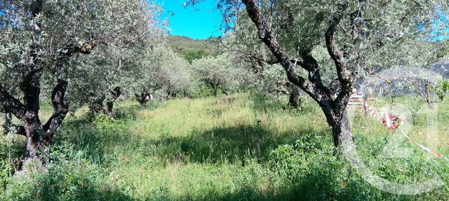 Terrain &agrave; vendre - 2000 m2 - Peyruis - 04 - PROVENCE-ALPES-COTE-D-AZUR