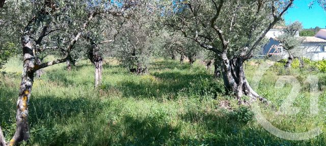 Terrain &agrave; vendre - 2000 m2 - Peyruis - 04 - PROVENCE-ALPES-COTE-D-AZUR