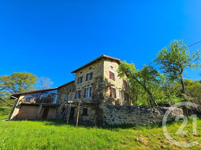 maison - LAVAL SUR DOULON - 43