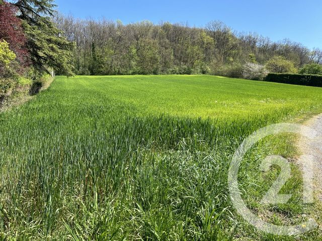 terrain - MONTSAUNES - 31