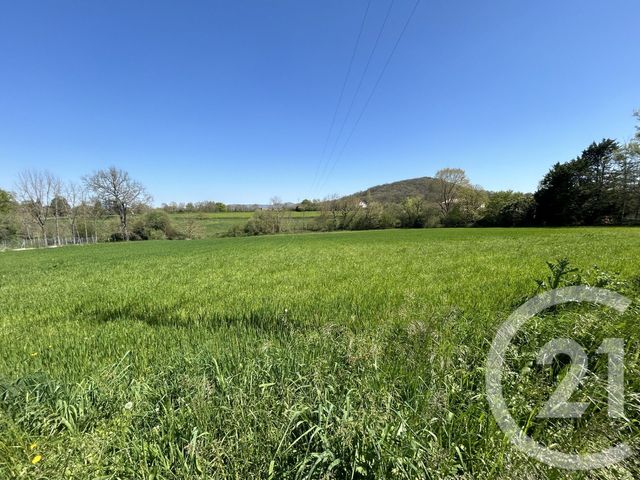 Terrain &agrave; vendre - 10815 m2 - Montsaunes - 31 - MIDI-PYRENEES