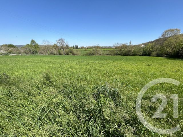 terrain - MONTSAUNES - 31