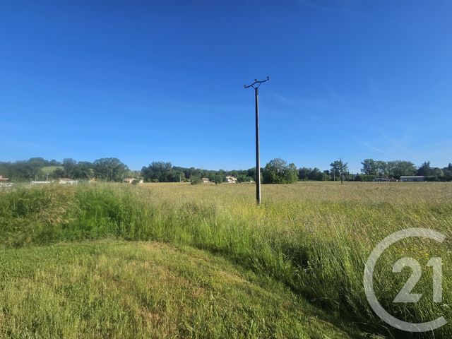 Terrain &agrave; vendre - 10149 m2 - Mane - 31 - MIDI-PYRENEES