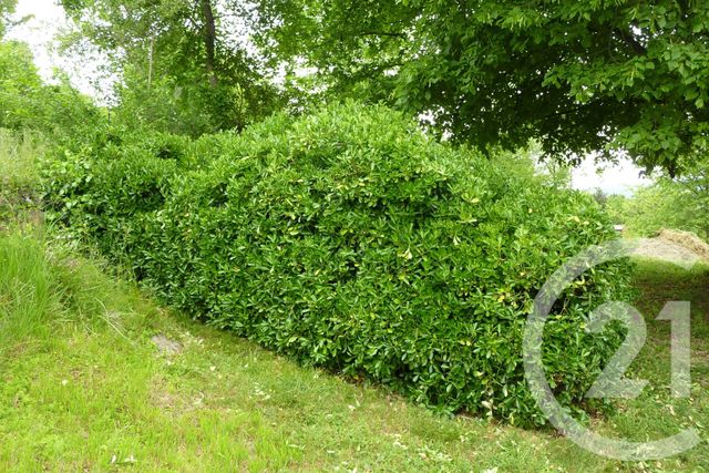 Terrain &agrave; vendre - 1901 m2 - Laffite Toupiere - 31 - MIDI-PYRENEES