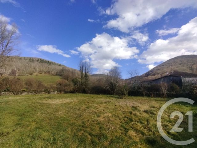 terrain - ARBAS - 31