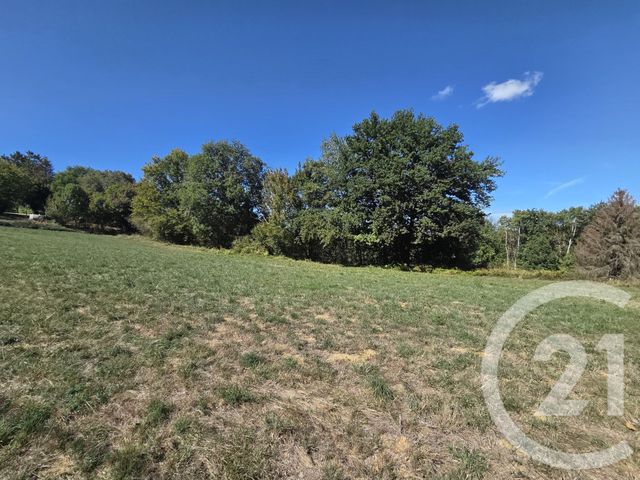 Terrain &agrave; vendre - 2500 m2 - Montespan - 31 - MIDI-PYRENEES