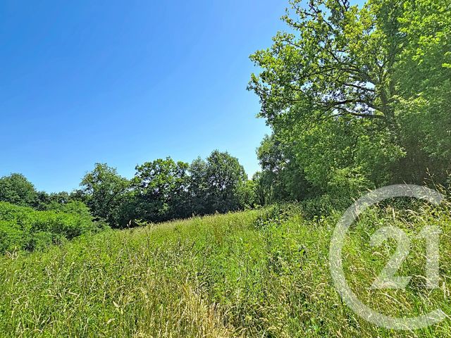 Terrain &agrave; vendre - 2305 m2 - Lestelle De St Martory - 31 - MIDI-PYRENEES
