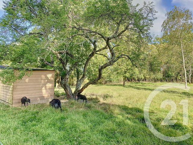 Maison &agrave; vendre - 8 pi&egrave;ces - 190 m2 - Tonnay Charente - 17 - POITOU-CHARENTES