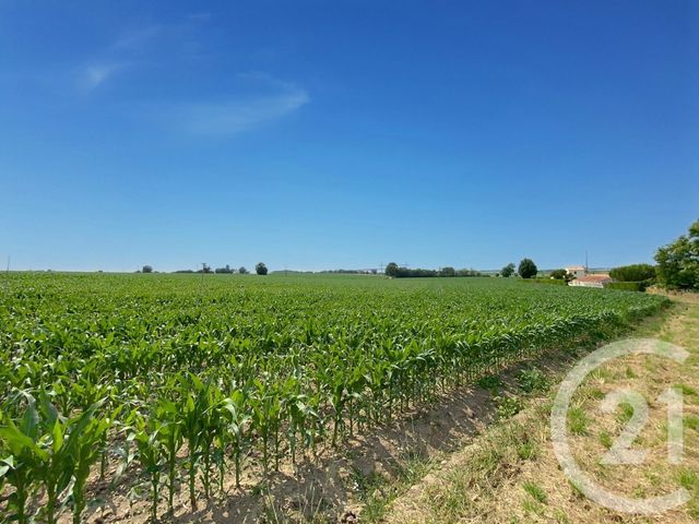 Maison &agrave; vendre - 6 pi&egrave;ces - 132 m2 - Echillais - 17 - POITOU-CHARENTES