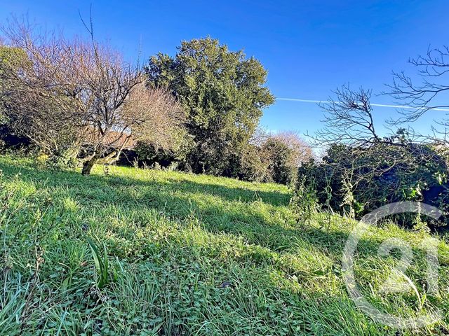 Terrain &agrave; vendre - 759 m2 - St Froult - 17 - POITOU-CHARENTES