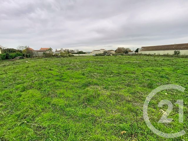 Terrain &agrave; vendre - 5570 m2 - Chambon - 17 - POITOU-CHARENTES