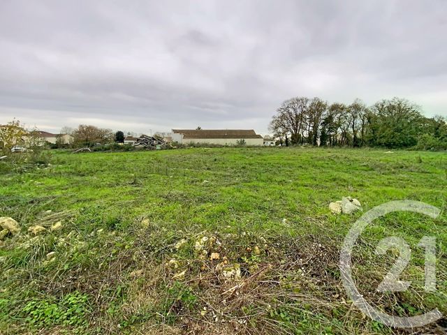 Terrain &agrave; vendre - 5570 m2 - Chambon - 17 - POITOU-CHARENTES