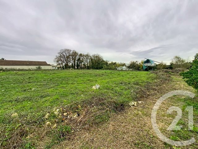 Terrain &agrave; vendre - 5570 m2 - Chambon - 17 - POITOU-CHARENTES