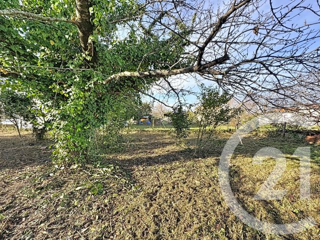 terrain - PAMIERS - 09