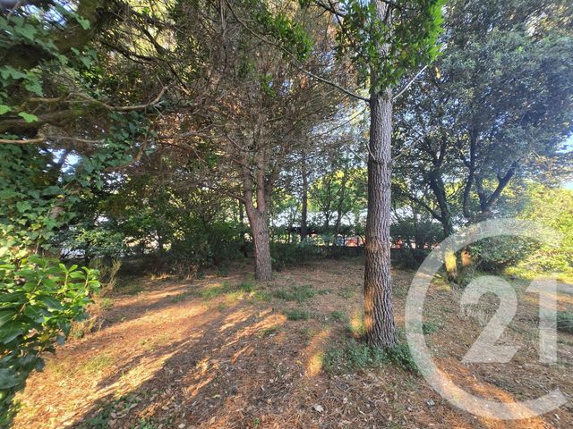 Terrain &agrave; vendre - 550 m2 - Vendays Montalivet - 33 - AQUITAINE