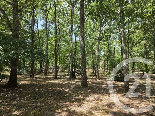 Maison &agrave; vendre - 4 pi&egrave;ces - 90 m2 - Vensac - 33 - AQUITAINE