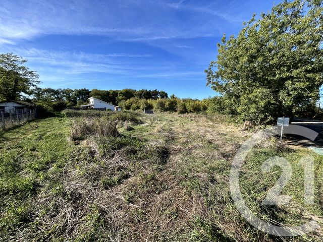 terrain - QUEYRAC - 33