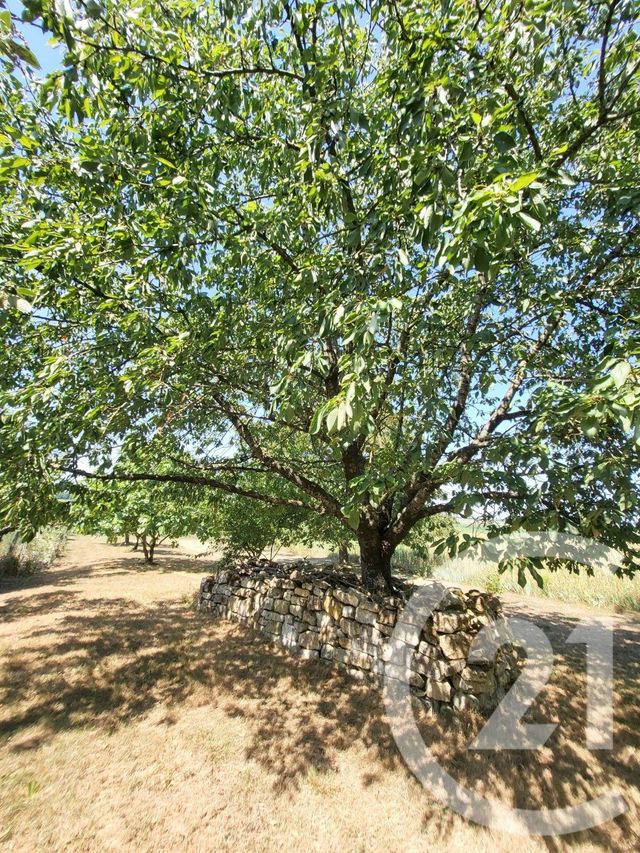 Maison &agrave; vendre - 5 pi&egrave;ces - 164,70 m2 - Corme Royal - 17 - POITOU-CHARENTES