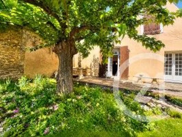 maison - PEYRIAC MINERVOIS - 11