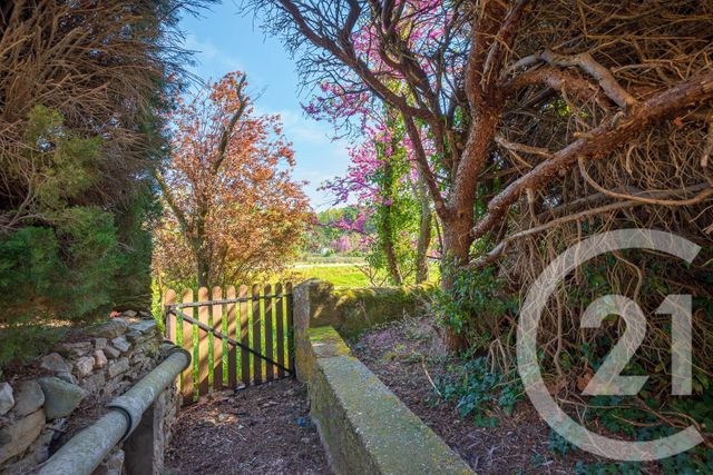 Maison &agrave; vendre - 7 pi&egrave;ces - 179 m2 - Peyriac Minervois - 11 - LANGUEDOC-ROUSSILLON
