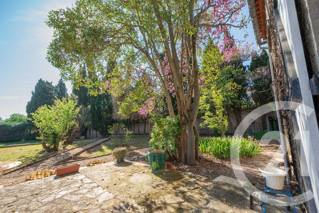 Maison &agrave; vendre - 7 pi&egrave;ces - 179 m2 - Peyriac Minervois - 11 - LANGUEDOC-ROUSSILLON