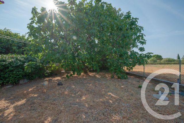 Maison &agrave; vendre - 6 pi&egrave;ces - 126 m2 - Peyriac Minervois - 11 - LANGUEDOC-ROUSSILLON