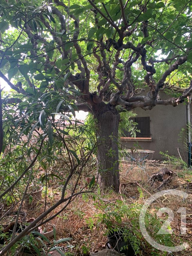 Maison &agrave; vendre - 11 pi&egrave;ces - 150 m2 - Castelnau D Aude - 11 - LANGUEDOC-ROUSSILLON