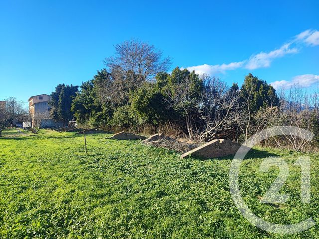 Maison &agrave; vendre - 8 pi&egrave;ces - 197,75 m2 - Rieux Minervois - 11 - LANGUEDOC-ROUSSILLON