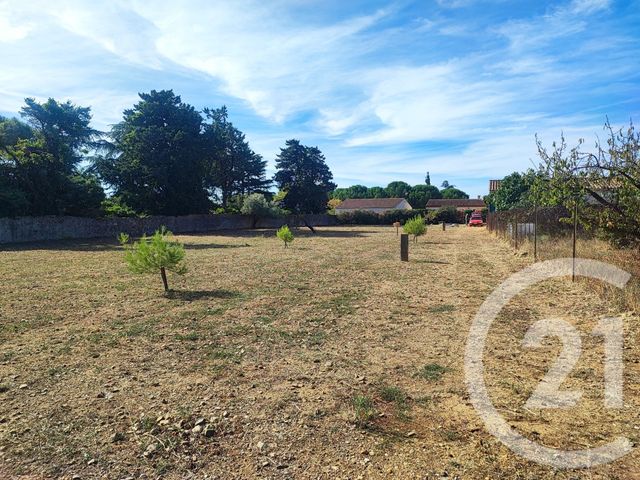 Terrain &agrave; vendre - 947 m2 - Trausse - 11 - LANGUEDOC-ROUSSILLON