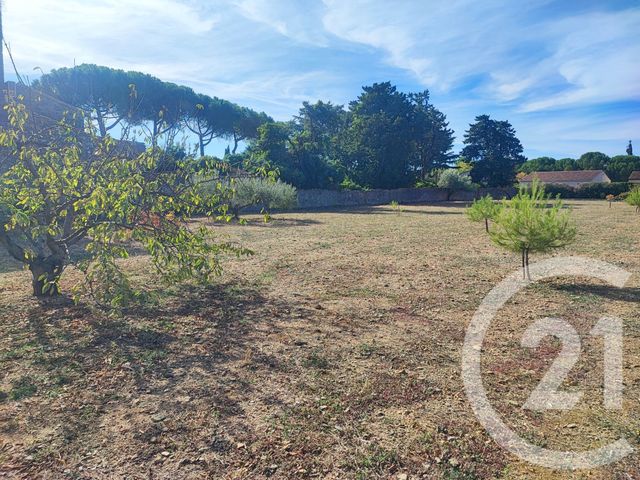 Terrain &agrave; vendre - 947 m2 - Trausse - 11 - LANGUEDOC-ROUSSILLON