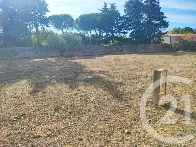 Terrain &agrave; vendre - 947 m2 - Trausse - 11 - LANGUEDOC-ROUSSILLON