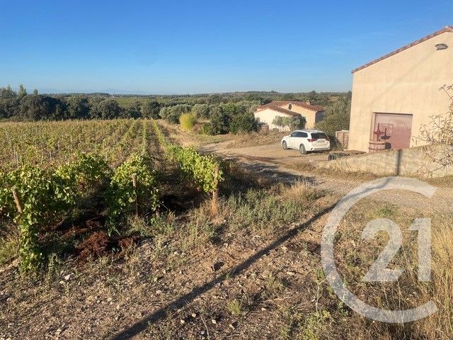 Maison &agrave; vendre - 5 pi&egrave;ces - 134,69 m2 - Trausse - 11 - LANGUEDOC-ROUSSILLON