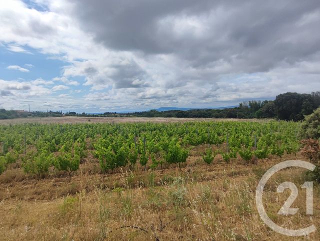 Maison &agrave; vendre - 5 pi&egrave;ces - 134,69 m2 - Trausse - 11 - LANGUEDOC-ROUSSILLON