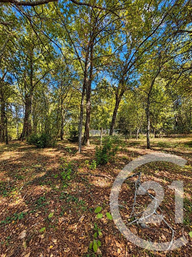 Maison &agrave; vendre - 6 pi&egrave;ces - 132,94 m2 - Listrac Medoc - 33 - AQUITAINE