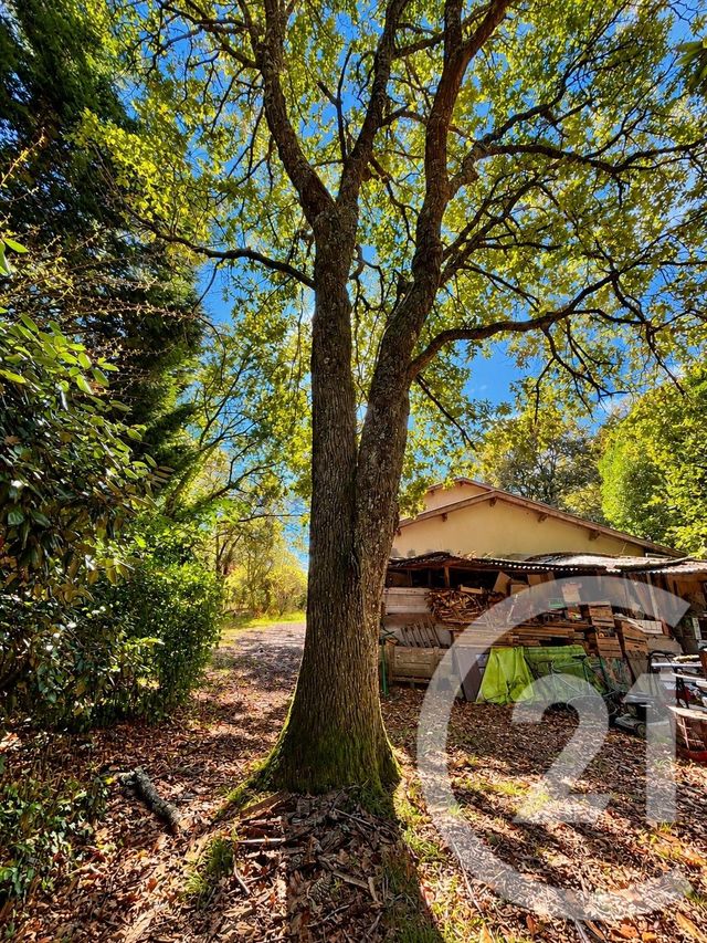 Maison &agrave; vendre - 6 pi&egrave;ces - 132,94 m2 - Listrac Medoc - 33 - AQUITAINE