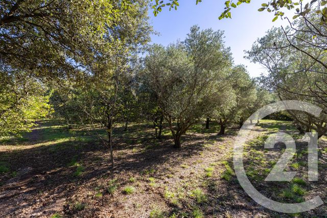 Maison &agrave; vendre - 4 pi&egrave;ces - 145 m2 - Octon - 34 - LANGUEDOC-ROUSSILLON