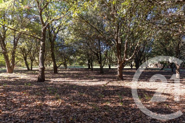 Maison &agrave; vendre - 4 pi&egrave;ces - 145 m2 - Octon - 34 - LANGUEDOC-ROUSSILLON