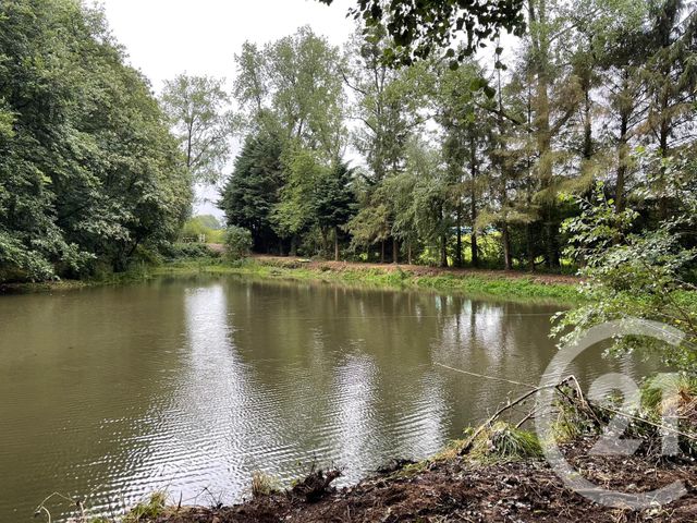 Terrain &agrave; vendre - 4711 m2 - La Chapelle Janson - 35 - BRETAGNE